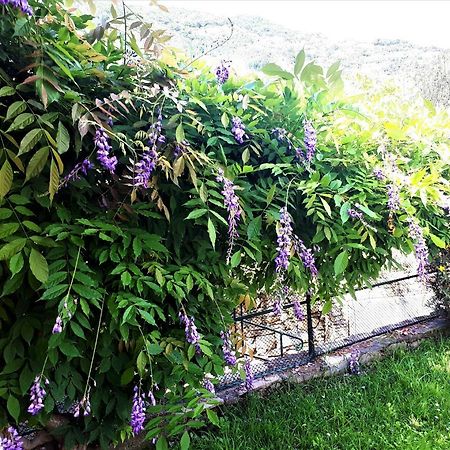Villa L'Antico Frantoio Rapallo Esterno foto