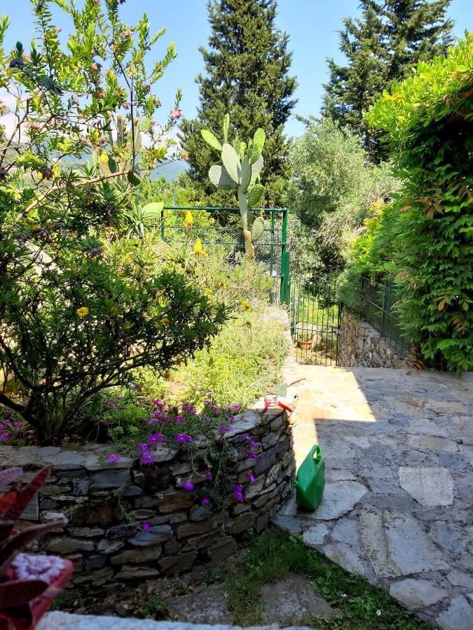 Villa L'Antico Frantoio Rapallo Esterno foto