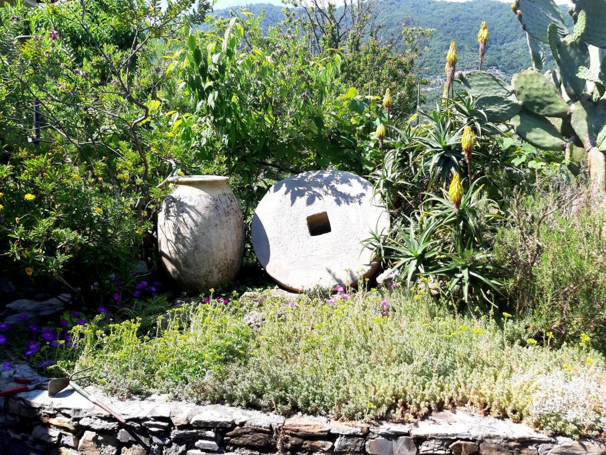 Villa L'Antico Frantoio Rapallo Esterno foto