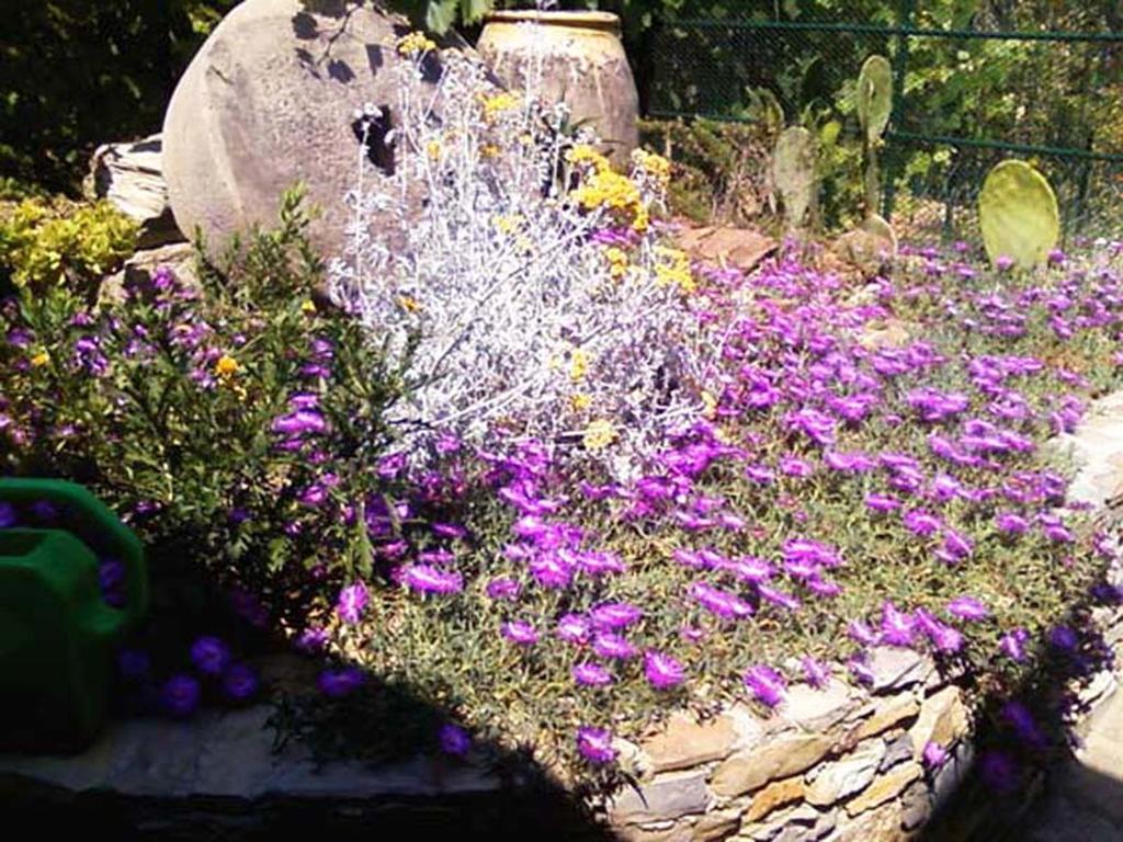 Villa L'Antico Frantoio Rapallo Esterno foto