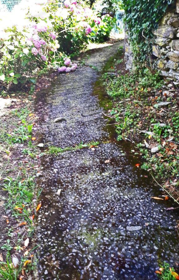 Villa L'Antico Frantoio Rapallo Esterno foto